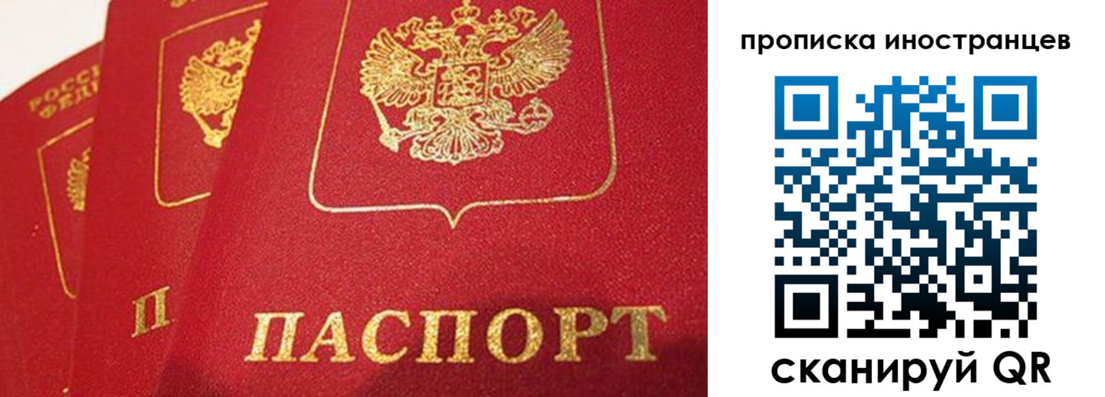 прописка поиск в Калининске